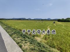 -良渚古城遗址公园