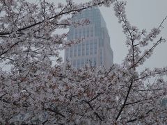 -西北湖绿化广场