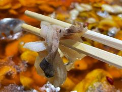 -雲蜀龙阁·金牌水煮鱼(方庄店)