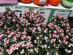 -blt精品超市(KKMALL京基店)