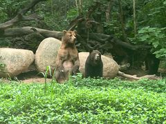 -广州长隆野生动物世界
