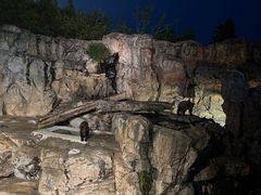 -珠海长隆海洋王国