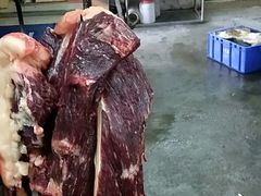 -辉煌牛肉杂园