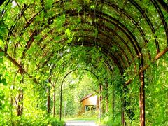 -国家植物园南园