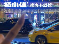 -杨小佳·齐齐哈尔烤肉·烤串(广州店)