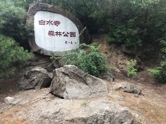 -白水寺森林公园