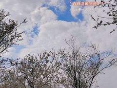 -凤凰沟景区