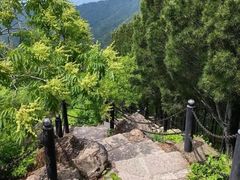 -北京十三陵国家森林公园蟒山景区