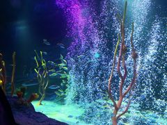 -沈阳海洋探索中心