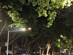 -紫金山山顶公园