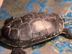 -未来动物城主题公园(正弘城店)