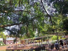 -侯臣咖啡文化村