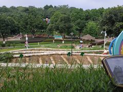 -天河儿童公园