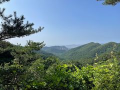 -金龙寺国家森林公园