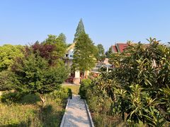 -报恩禅寺