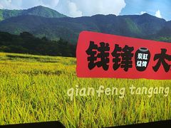 -钱锋炭缸烧烤(南湖大路总店)