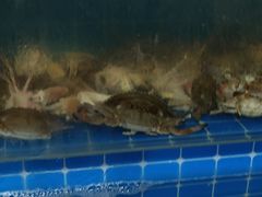 -锅老头铁锅炖•大锅蒸汽海鲜(韩乐坊店)