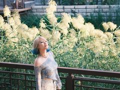 -京八大楼·京剧·烤鸭(三里屯店)