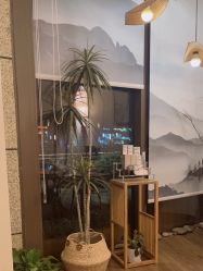 -宥莉·ULLY 痘敏肌•科技皮肤管理中心
