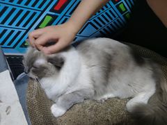 -零纪元VR体验馆·桌游(黄浦店)