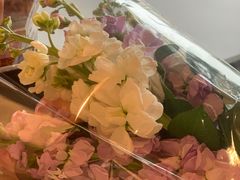 -循礼门鲜花花市(武汉循礼门店)