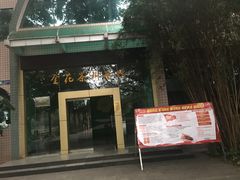 -金花茶公园