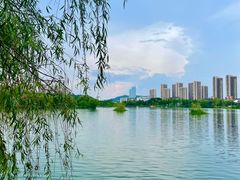 -洋湖国家湿地公园