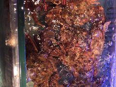 -阿伟海鲜楼·福建菜(延寿店)