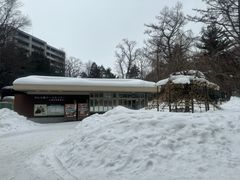 -北海道神宫