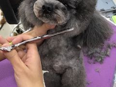 -酷迪(巴沟华联店)