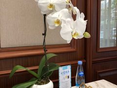 -子霖南山鲜虾面(南山总店)