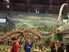 iphone_upload_pic-自贡恐龙博物馆