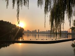 -天鹅湖体育公园