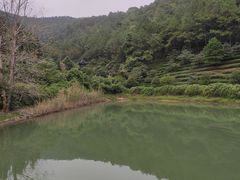-九龙潭景区