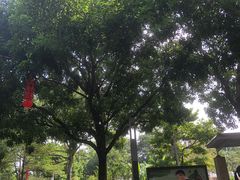 -荔湾区儿童公园