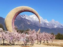 -丽江植物园