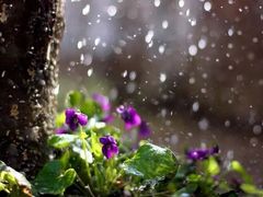 -螃蟹岬(地铁站)