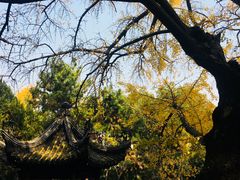 -无锡惠山寺