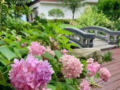 -长田漾湿地公园