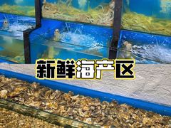 -桔子海鲜烧烤大排档(金沙滩店)