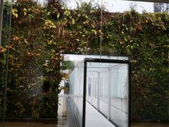 -金泽21世纪美术馆