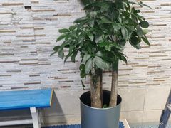 -小蓝鲸游泳培训基地(积水潭店)