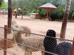 -大连森林动物园