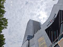 -金茂览秀城