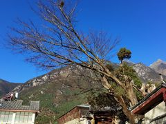 -玉湖村