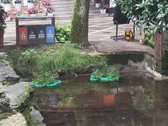 -天怡·鱼工厂(梅溪湖店)