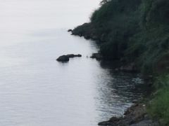 -羚羊峡古栈道森林公园