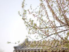 -三里河公园