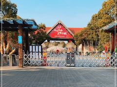 -上海海湾国家森林公园