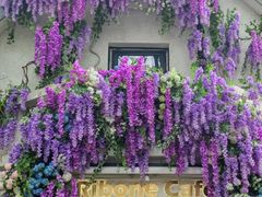 -弗兰克牛排西餐厅Ribone steak house(柠檬花园店)